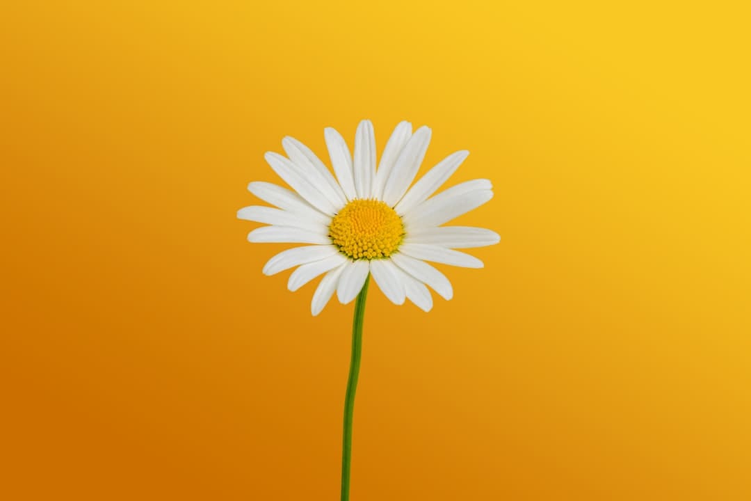 https://x0.ifengimg.com/thmaterial/2023_22/ED19CEACE4494AE596D4144A6CBD7B20_w120_h120.png